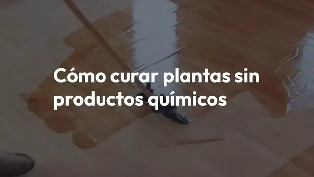 'Video thumbnail for Con este ingrediente tendrás raíces muy fuertes y flores constantemente exuberantes.'