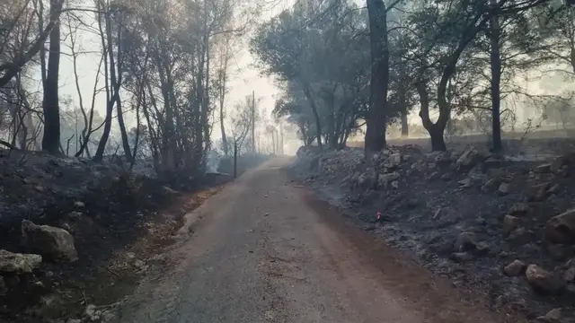 Video thumbnail for France: Firefighters battle wildfire in southern France's Cotignac.