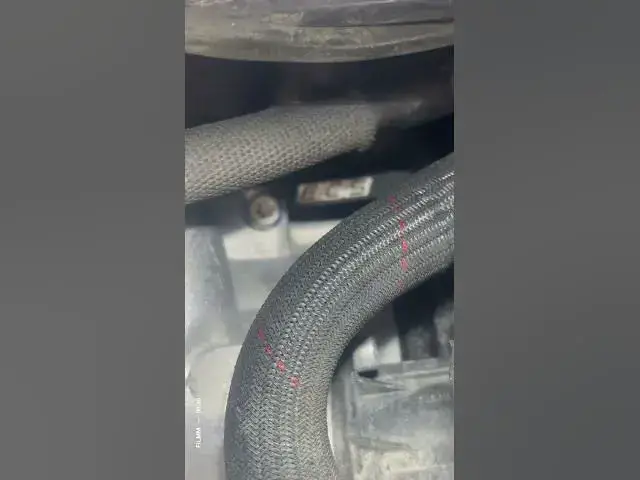 Video thumbnail for Subscribe for more!!! #shortsfeed #shorts #shortsviral #foryou we’re almost at 800 subscribers:)