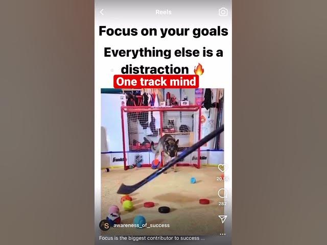 Video thumbnail for #Focus on your #goals. Everything else is a #distraction.