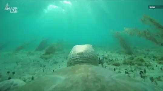 Video thumbnail for A closer look at sea turtle life through TurtleCam