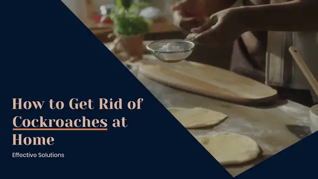 Video thumbnail for How to get rid of cockroaches at home
