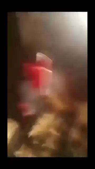 'Video thumbnail for Popular Artist Shebeshxt Crashes Brand New Polo After Previous Accident. WATCH VIDEO BELOW:'