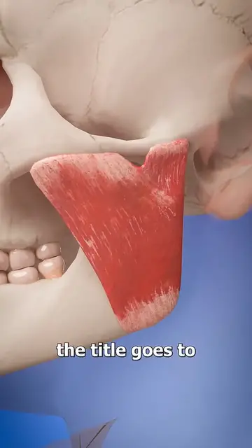 'Video thumbnail for Is Your Tongue The Strongest Muscle_ 😮(720P_HD)'