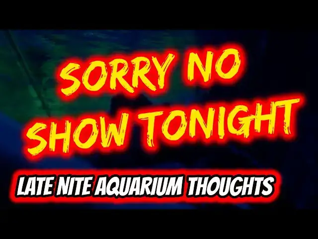 Video thumbnail for Sorry No Show Tonight - August 20, 2020