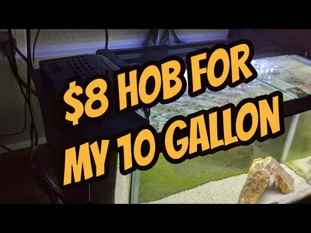 Video thumbnail for $8 HOB for my 10 gallon tank!