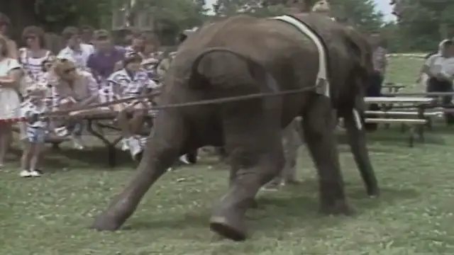 Video thumbnail for Bob Uecker introduces a Sports fantasy for Episode 9 of The Wacky World of Sports