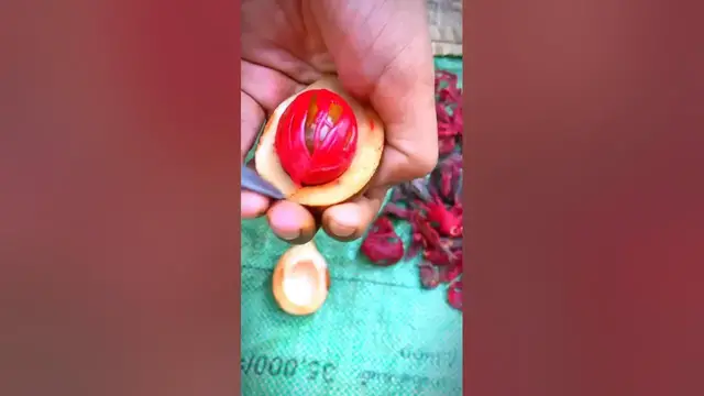 Video thumbnail for Can you cut a nutmeg in this amazing way? 😲 #nature #shorts