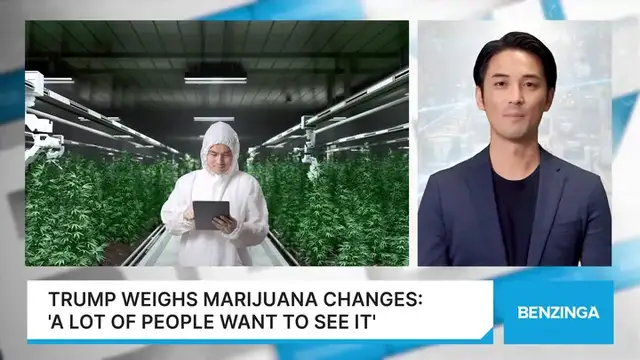 Video thumbnail for Trump Weighs Marijuana Shift