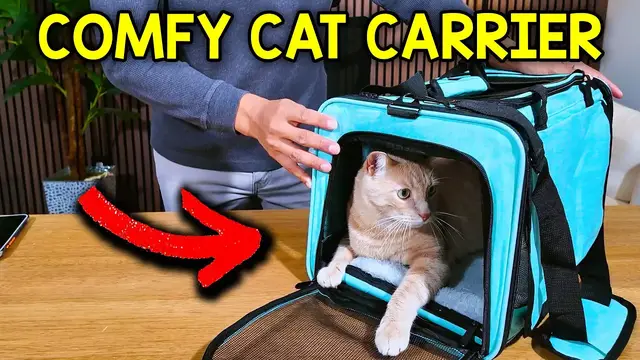 Video thumbnail for What To Expect With The SMBFKGK Soft Sided Cat Carrier (Is It WORTH IT? )