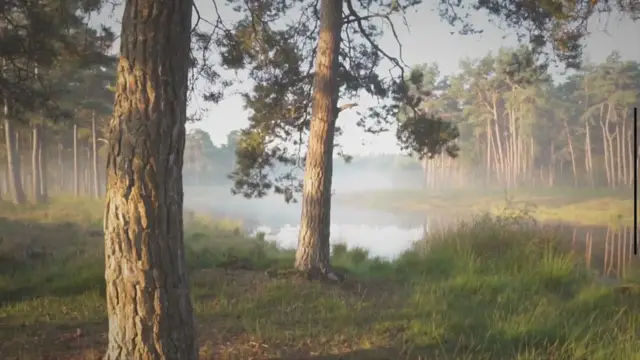 'Video thumbnail for Septembermorgen – ein schönes, kurzes Herbstgedicht von Friedrich Mörike kurz interpretiert.'