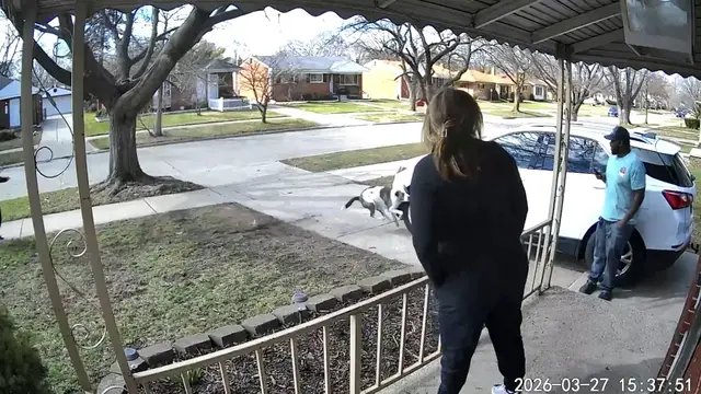 Video thumbnail for Playful Dog Crashes Into Parked Car in Michigan!