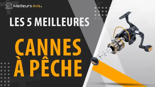 Video thumbnail for ⭐️ MEILLEURE CANNE A PECHE - Comparatif 2023