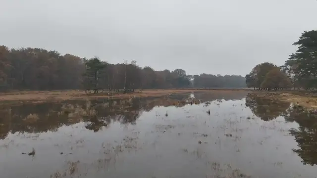 Video thumbnail for amazing nature