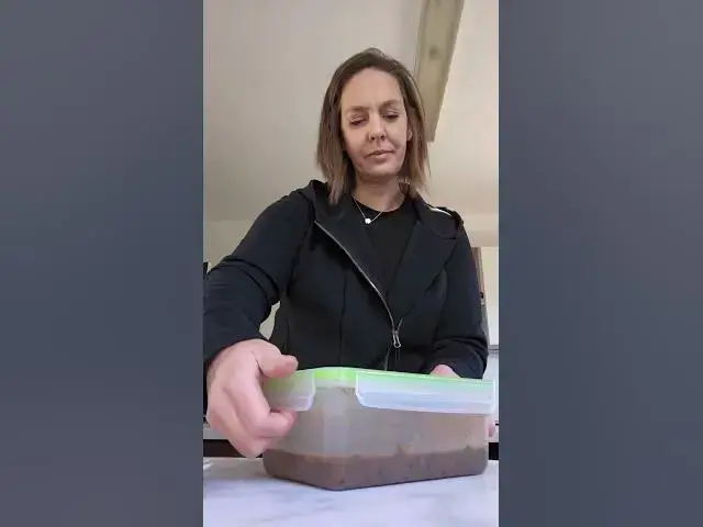 'Video thumbnail for Tostas com feijoada de legumes - reinventando as sobras'