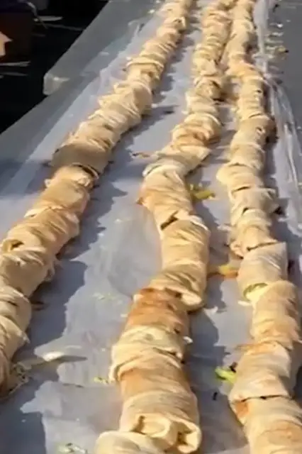 Video thumbnail for Longest line of shawarma wraps - 2,451 wraps by Shawarma Palace and shawarmafest.ca
