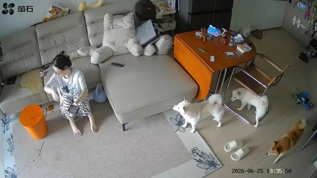 Video thumbnail for Playful Dogs Cause Coffee Chaos in Guangdong
