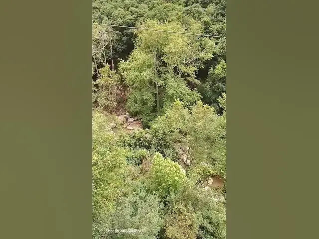 Video thumbnail for #Nature #Forest #grotte #grotto #grotten #lebanon #middleeast #middleeasttour