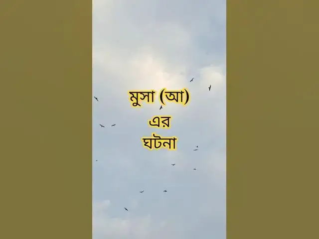 'Video thumbnail for একটি পিঁপড়া আর হজরত মুসা (আঃ) | সহিহ হাদিস | Islamic Short #shortsislamic'