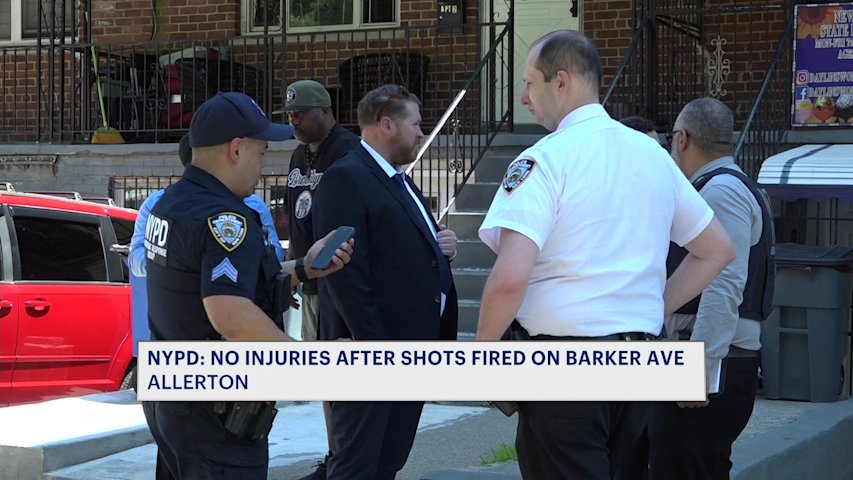 Video thumbnail for A 'What was that?' moment: No injuries reported after shots fired Wednesday morning in Allerton