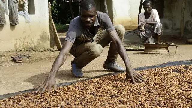 'Video thumbnail for Ivory Coast sets new cocoa price ahead of upcoming elections'