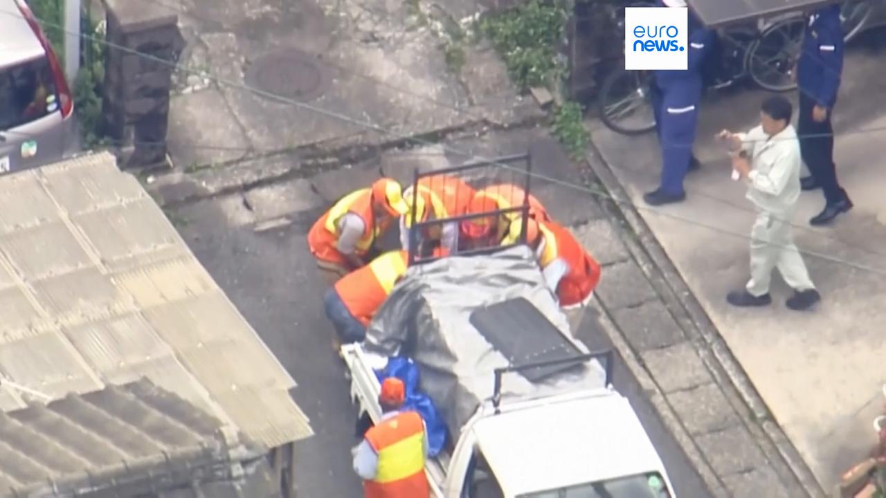 Video thumbnail for Bear captured after roaming through Japanese city