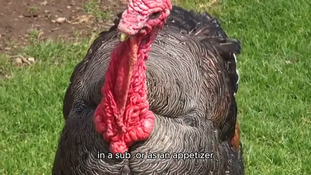 Video thumbnail for Savory Turkey Meatballs