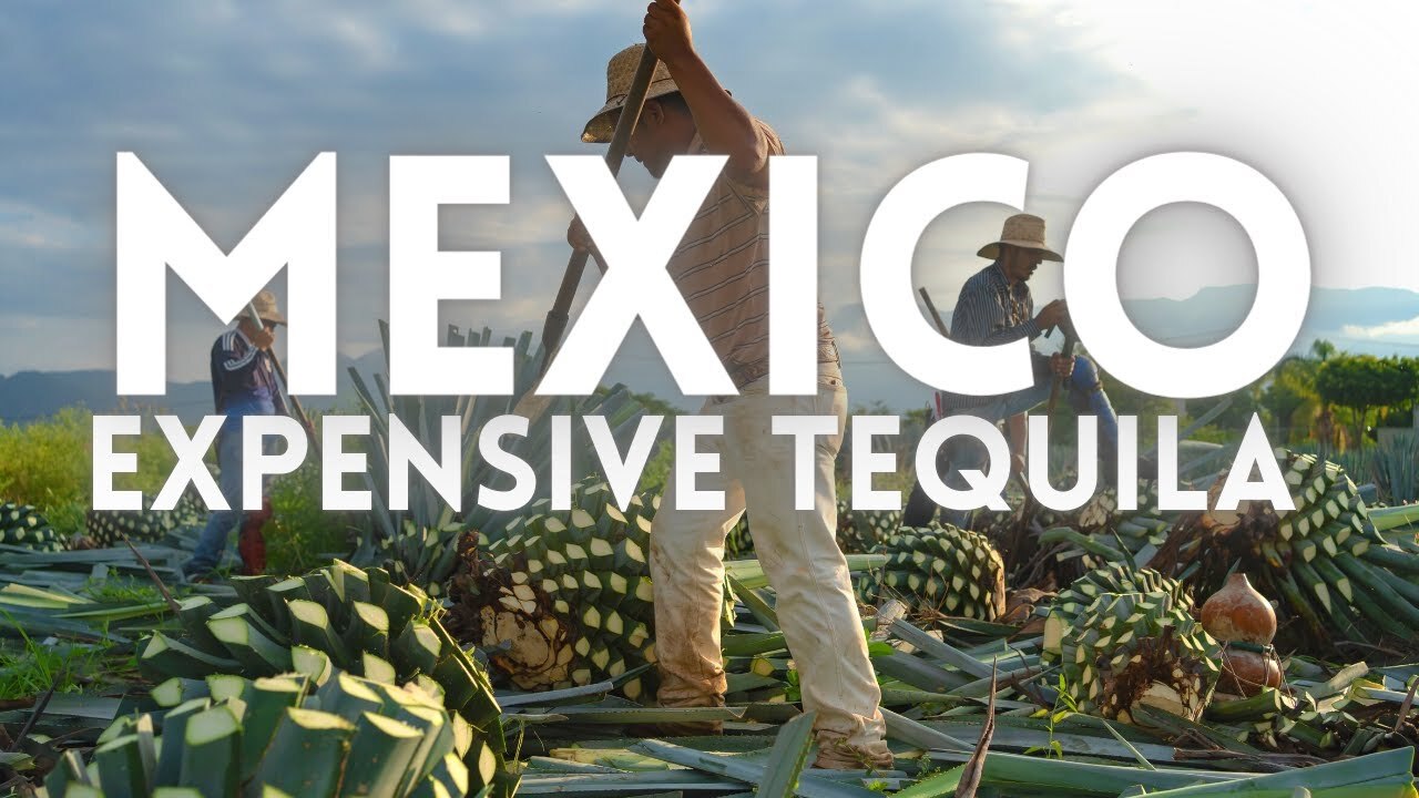Video thumbnail for Drinking Expensive Tequila with Locals in Mexico