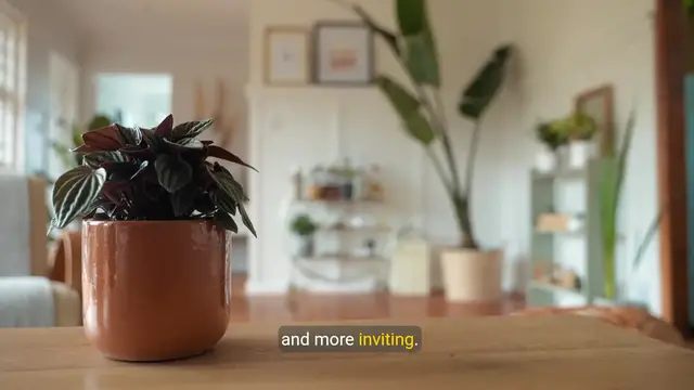 Video thumbnail for Furniture Ideas for Living Room with Light Wood Flooring