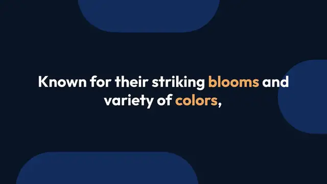 Video thumbnail for Caring for Anemones