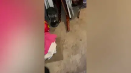 Video thumbnail for Couple Announce Pregnancy On Chicken Egg To Surprise Mom | Happily TV