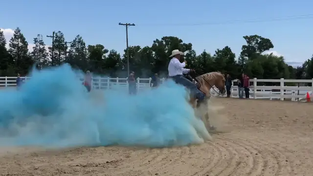 Video thumbnail for Horse Performs Slide Stop Gender Reveal | Happily TV