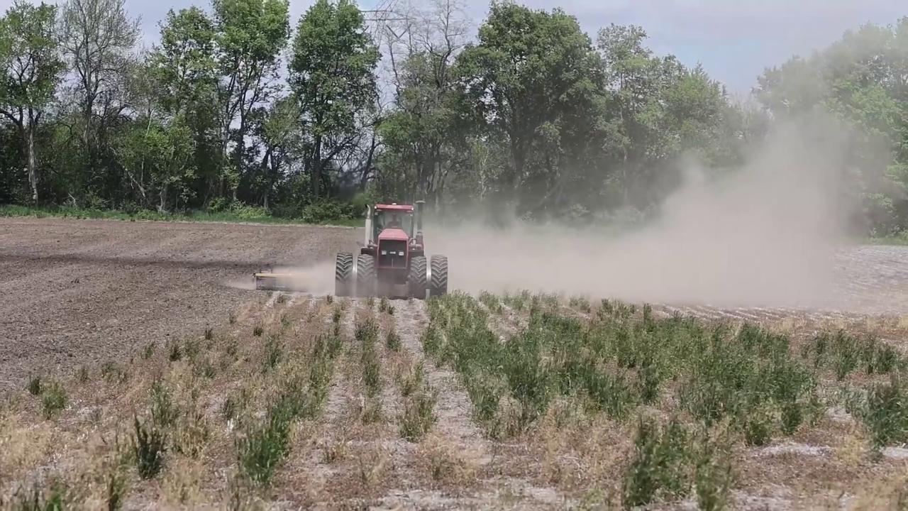 Video thumbnail for US: Tilling weeds before spring planting.