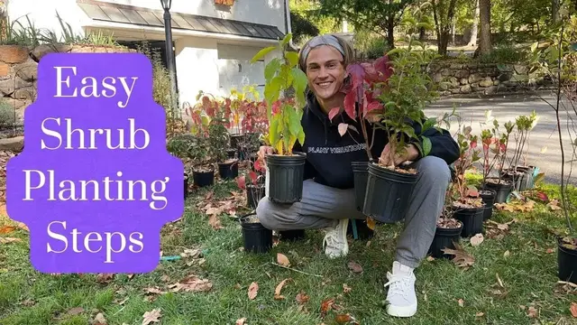 Video thumbnail for Follow this Guide to Plant Shrubs the Right Way - Tutorial for Beginner Gardeners
