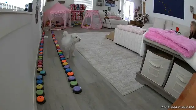 Video thumbnail for Smart Dog Uses Talking Buttons to Ask Mom for a Puppy