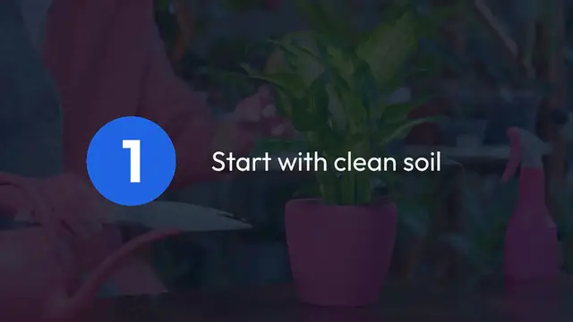 Video thumbnail for Prevent Pests in Vertical Gardens