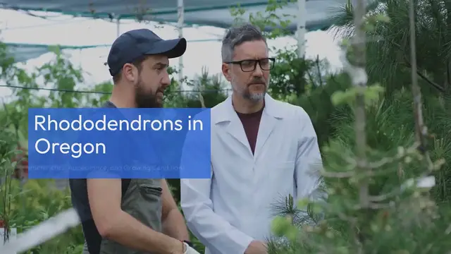 Video thumbnail for Rhododendron Oregon