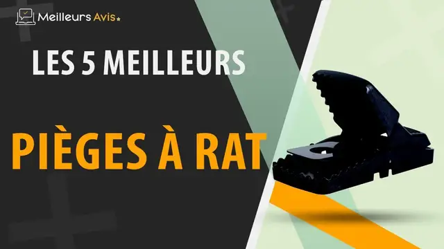 Video thumbnail for ⭐️ MEILLEUR PIÈGE À RAT - Avis & Guide d'achat (Comparatif 2022)