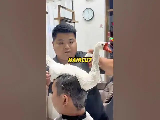 'Video thumbnail for This Haircut Is 100% Organic—You Won’t Believe It #funny #storymoment #viralvideos'