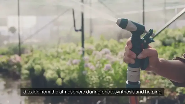 Video thumbnail for Benefits of Gardening to the Environment