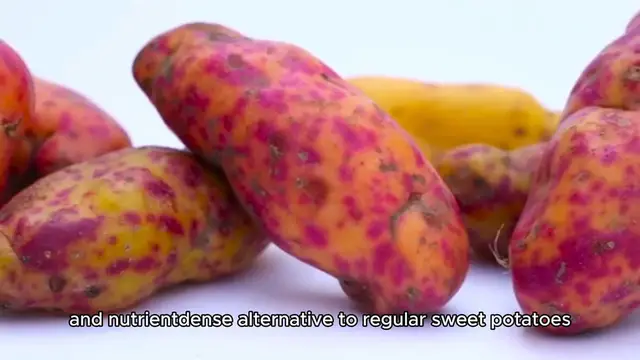 Video thumbnail for Purple Sweet Potato Recipe