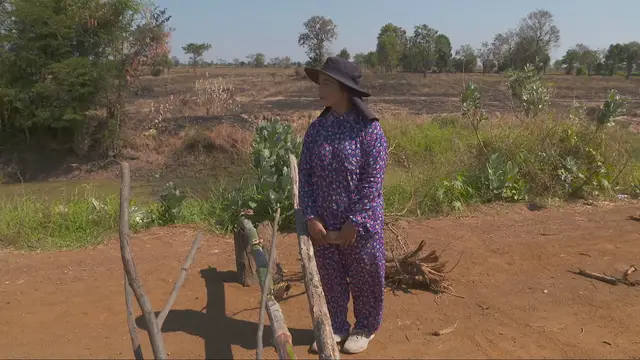 Video thumbnail for Displaced families stranded on Thailand–Cambodia border despite ceasefire