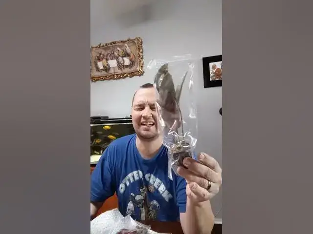 Video thumbnail for I received my plants from Aquarium Plants Factory!!! #Shorts