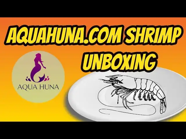 Video thumbnail for Unboxing Shrimp or expensive snack from Aquahuna.com