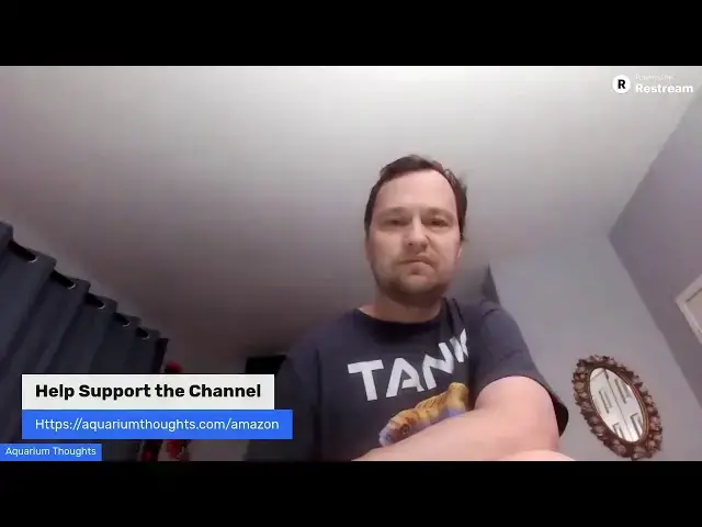 Video thumbnail for Test Stream