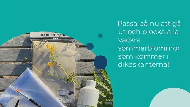 Video thumbnail for Pressa blommor