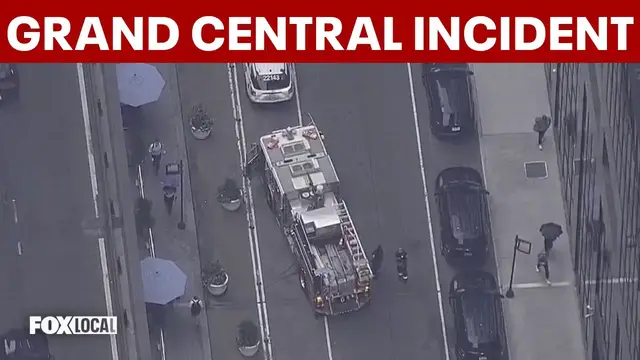 Video thumbnail for Police take person into custody after train incident at NYC's Grand Central Terminal