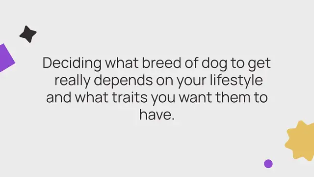 Video thumbnail for 15 fastest dog breeds