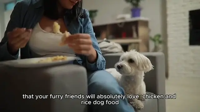 Video thumbnail for Easy Chicken and Rice Dog Food