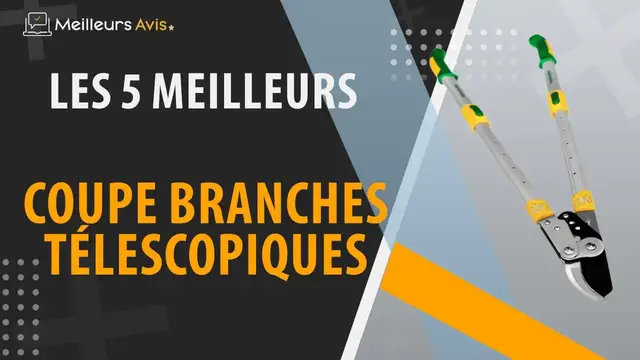 Video thumbnail for ⭐️ MEILLEUR COUPE BRANCHE TELESCOPIQUE - Comparatif 2023